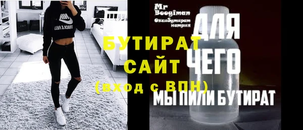 индика Бородино