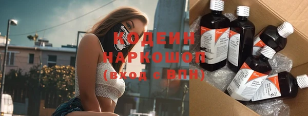 индика Бородино