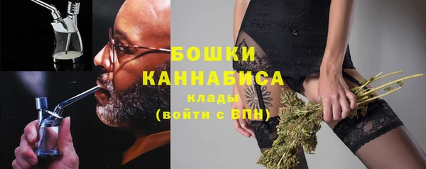 индика Бородино