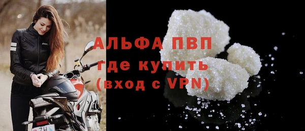 индика Бородино