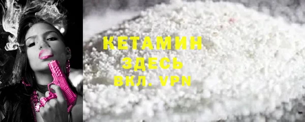 индика Бородино