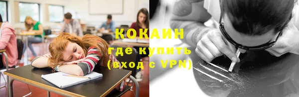 индика Бородино