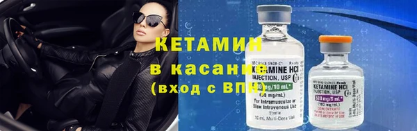 индика Бородино