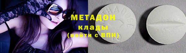 индика Бородино