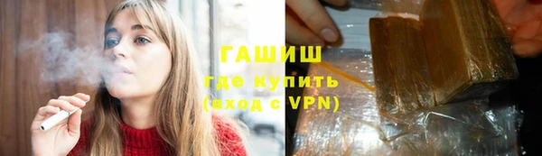 индика Бородино