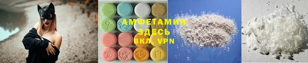 индика Бородино