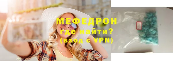 индика Бородино