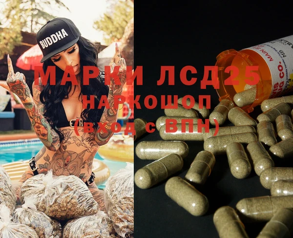 индика Бородино