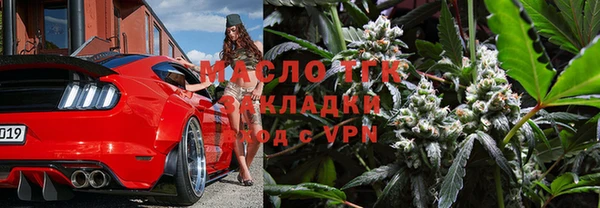 индика Бородино