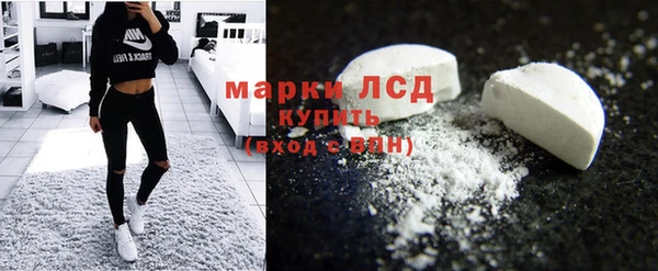 индика Бородино