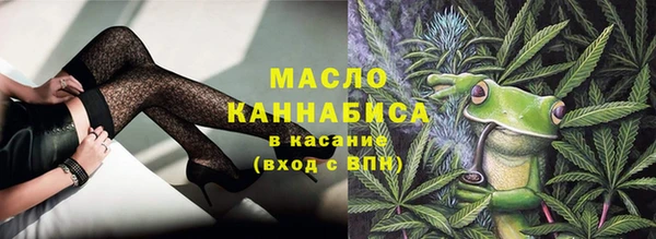 индика Бородино
