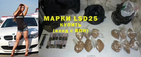 индика Бородино
