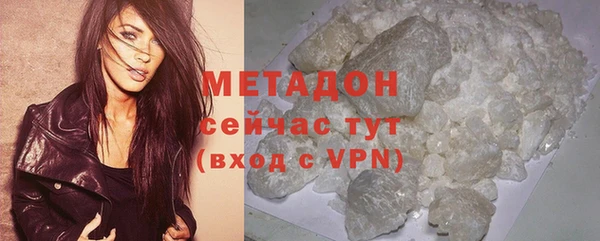 индика Бородино